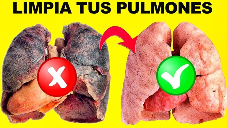 Descubre cómo desintoxicar tus pulmones del humo de forma eficaz